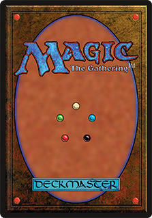 Back design of the profile card